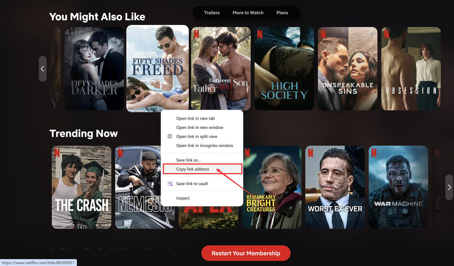 copy netflix show link