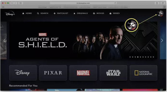 block ads on disney plus web player